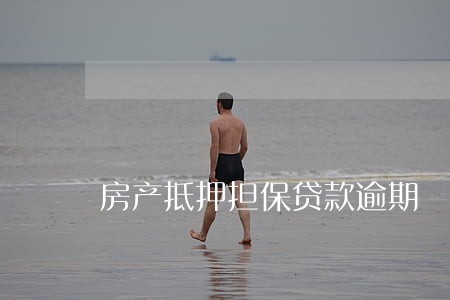 房产抵押担保贷款逾期 房产抵押担保贷款逾期