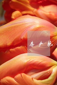 房产抵押纠纷律师团队 房产抵押纠纷律师团队