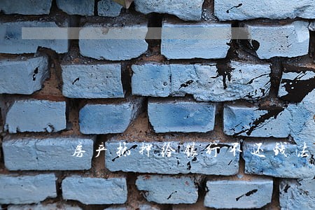 房产抵押给银行不还钱法院拍卖