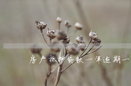 房产抵押贷款一年逾期一天 房产抵押贷款一年逾期一天