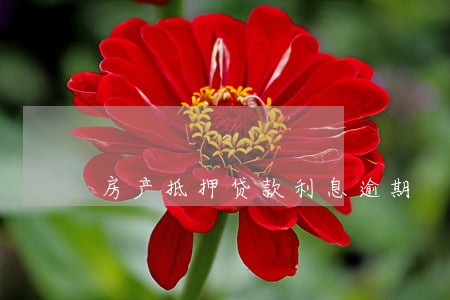 房产抵押贷款利息逾期 房产抵押贷款利息逾期
