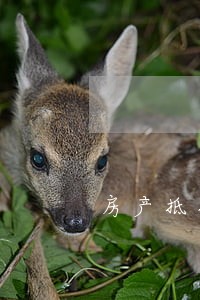 房产抵押贷款逾期5天 房产抵押贷款逾期5天