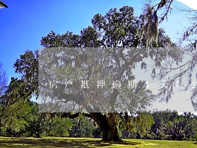 房产抵押逾期4天怎么办 房产抵押逾期4天怎么办