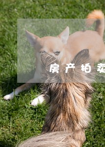 房产拍卖后多久分配