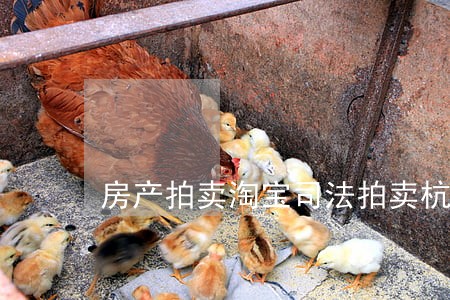 房产拍卖淘宝司法拍卖杭州 房产拍卖淘宝司法拍卖杭州