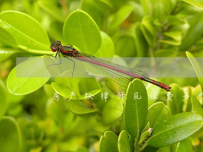 房产权律师见证费多少 房产权律师见证费多少