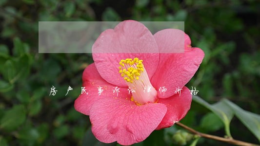 房产民事诉讼律师价格 房产民事诉讼律师价格