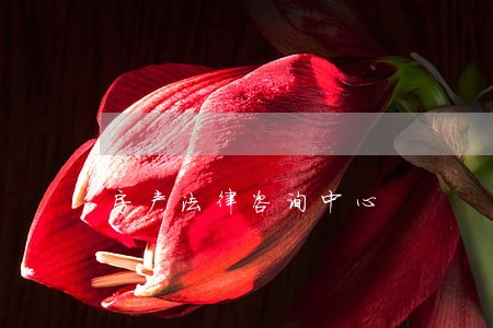 房产法律咨询中心 房产法律咨询中心
