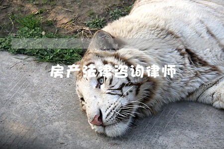 房产法律咨询律师 房产法律咨询律师