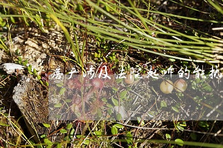 房产涉及法院起诉的能抵押吗