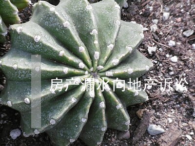 房产漏水向地产诉讼 房产漏水向地产诉讼