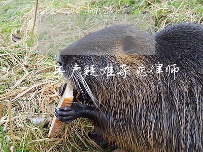 房产疑难杂症律师 房产疑难杂症律师