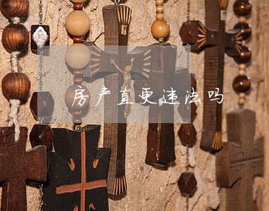 房产直更违法吗