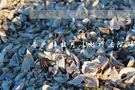 房产确权可以起诉法院确权吗 房产确权可以起诉法院确权吗