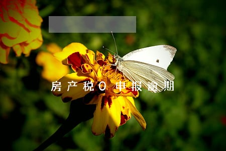 房产税0申报逾期 房产税0申报逾期