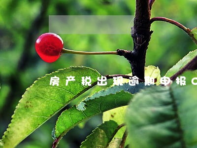 房产税出现逾期申报0 房产税出现逾期申报0