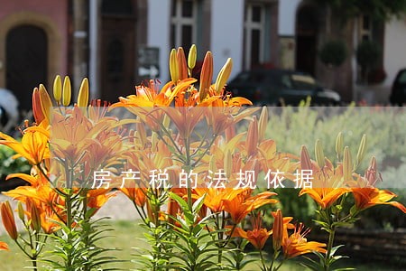 房产税的法规依据 房产税的法规依据
