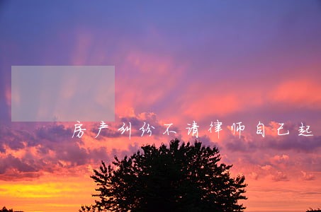房产纠纷不请律师自己起诉二审 房产纠纷不请律师自己起诉二审