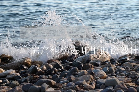 房产纠纷去哪里诉讼要什么手续