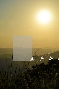 房产纠纷向起诉的序