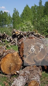 房产纠纷律师日照 房产纠纷律师日照
