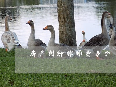 房产纠纷律师费多少 房产纠纷律师费多少