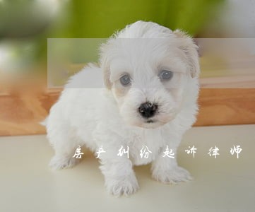 房产纠纷起诉律师多少钱一审 房产纠纷起诉律师多少钱一审