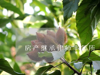 房产继承律师事务所 房产继承律师事务所