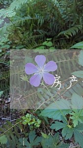 房产继承律师事务所十佳 房产继承律师事务所十佳