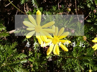房产继承律师委托 房产继承律师委托