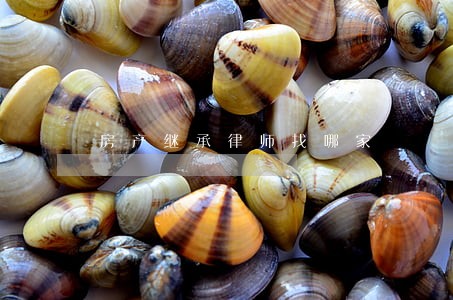 房产继承律师找哪家 房产继承律师找哪家