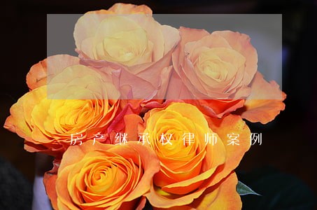 房产继承权律师案例 房产继承权律师案例