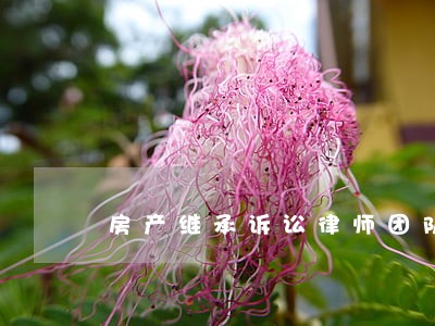 房产继承诉讼律师团队 房产继承诉讼律师团队