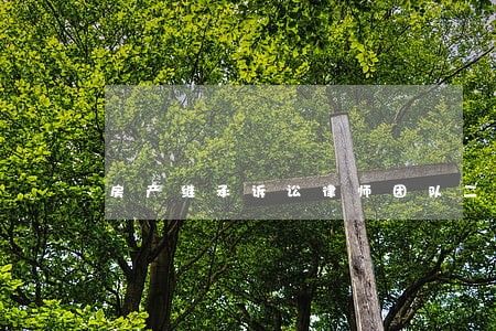 房产继承诉讼律师团队二审 房产继承诉讼律师团队二审