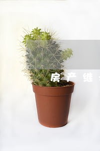 房产继承诉讼律师费北京 房产继承诉讼律师费北京