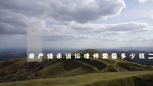 房产继承诉讼律师需要多少钱二审 房产继承诉讼律师需要多少钱二审
