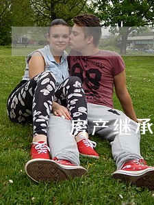 房产继承诉讼律师需要多少钱诉讼 房产继承诉讼律师需要多少钱诉讼