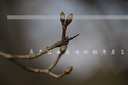 房产继承走诉讼程序是否快捷 房产继承走诉讼程序是否快捷