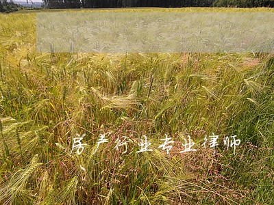 房产行业专业律师 房产行业专业律师