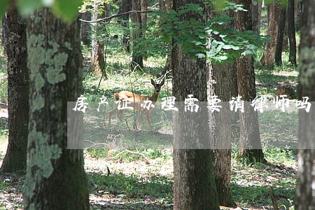房产证办理需要请律师吗 房产证办理需要请律师吗
