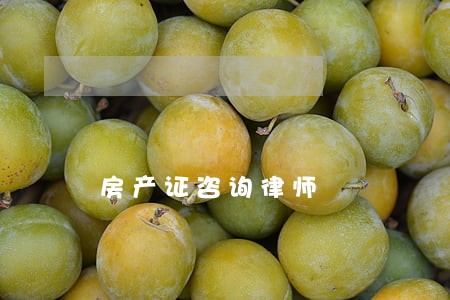 房产证咨询律师