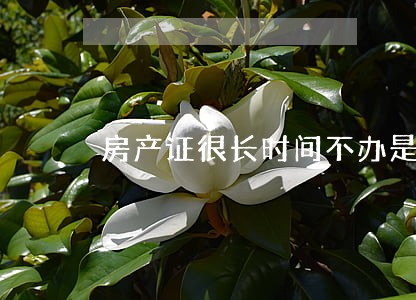 房产证很长时间不办是违法吗 房产证很长时间不办是违法吗