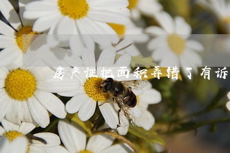 房产证把面积弄错了有诉讼时间吗 房产证把面积弄错了有诉讼时间吗
