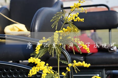房产证是小孩名子法院可以执行吗 房产证是小孩名子法院可以执行吗