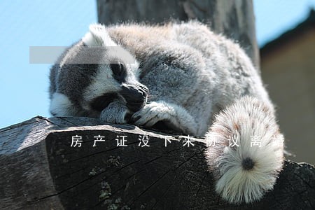 房产证没下来协议离婚 房产证没下来协议离婚