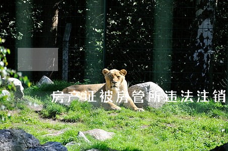 房产证被房管所违法注销 房产证被房管所违法注销