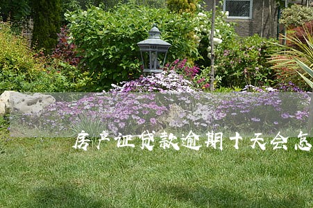 房产证贷款逾期十天会怎样 房产证贷款逾期十天会怎样