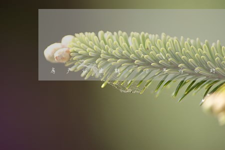 房产证逾期10年诉讼时效 房产证逾期10年诉讼时效