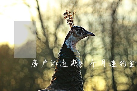 房产证逾期4个月违约金 房产证逾期4个月违约金