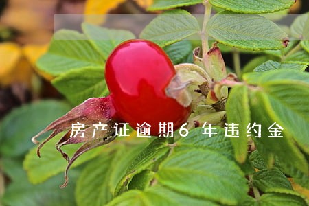 房产证逾期6年违约金
